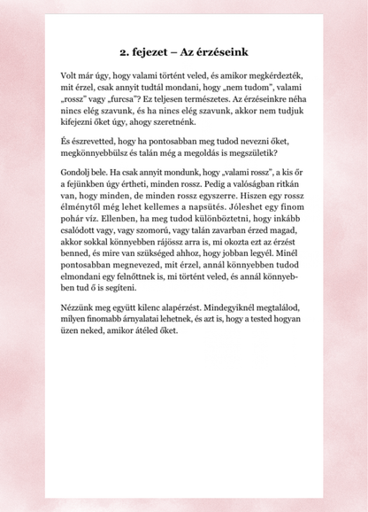 Dr. Weisz Éva: Naplóírók társasága (ebook)