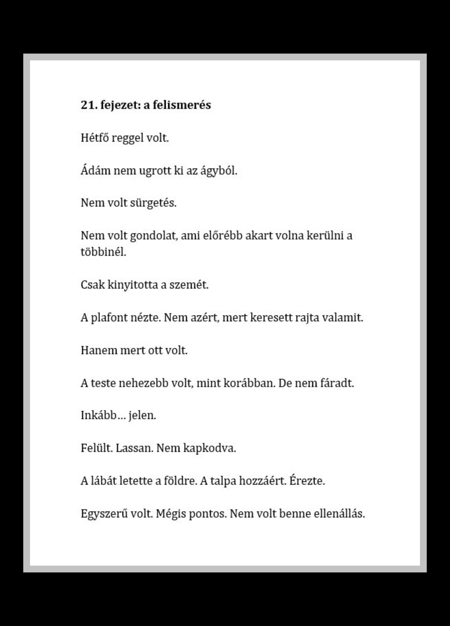 Gyulai Attila László: A falakon túl (Beyond the Walls) e-book
