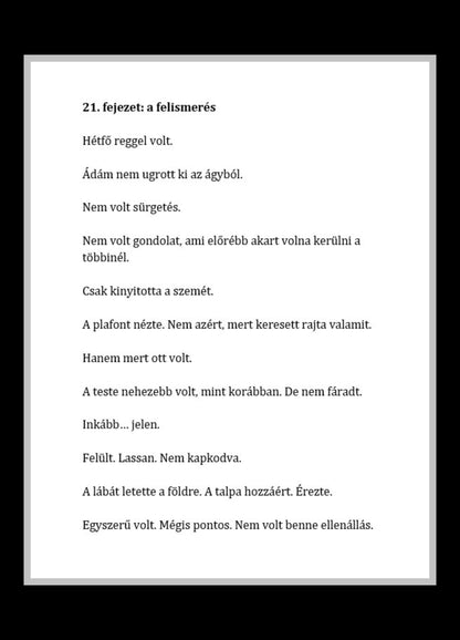 Gyulai Attila László: A falakon túl (Beyond the Walls) e-book
