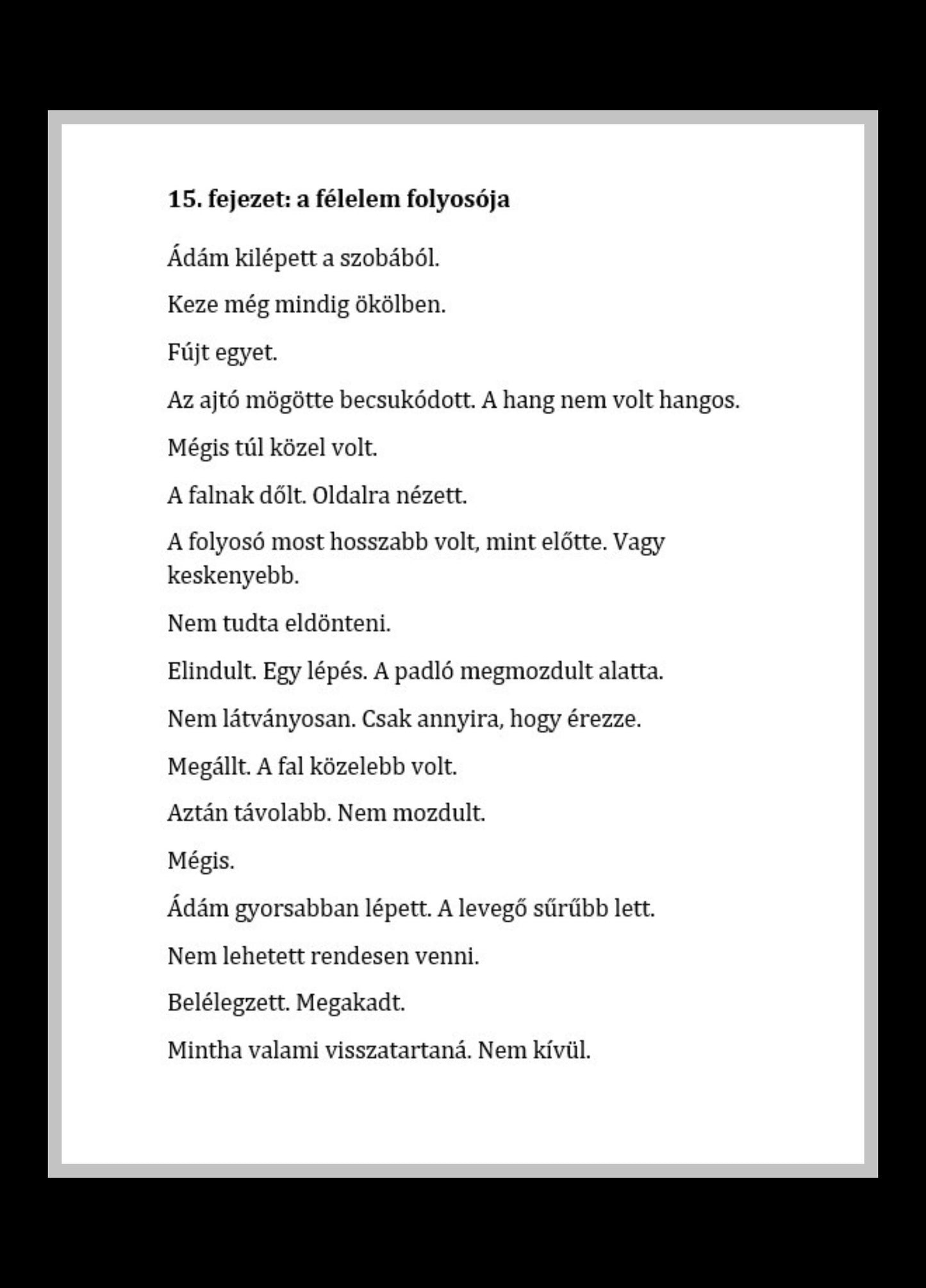 Gyulai Attila László: A falakon túl (Beyond the Walls) e-book